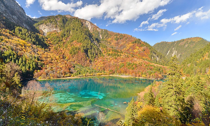 九寨沟五花海秋色俯瞰